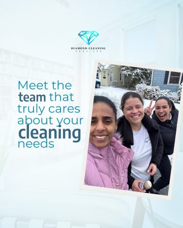 Meet the Diamond Cleaning Team