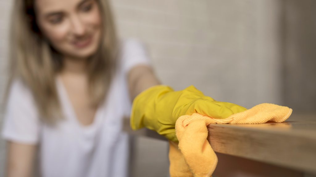 Fall Cleaning Checklist