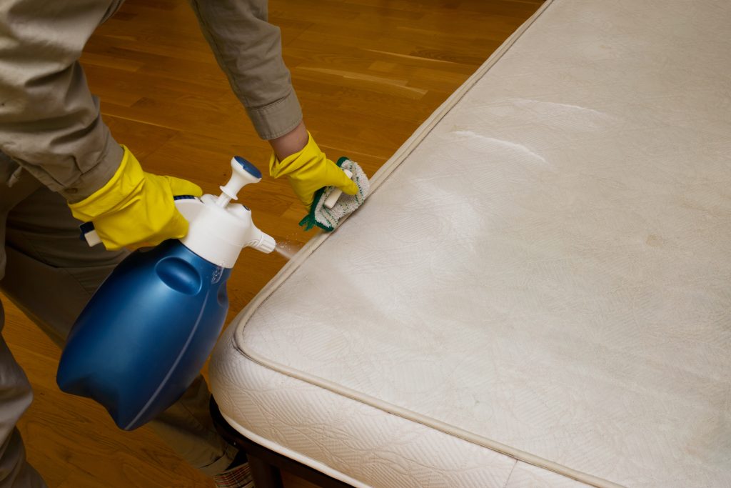 Clean a Mattress and Remove Odors