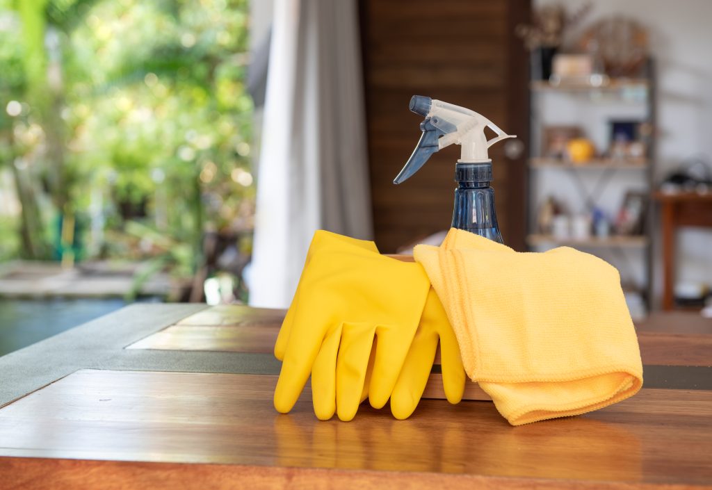 Professional House Cleaning vs DIY