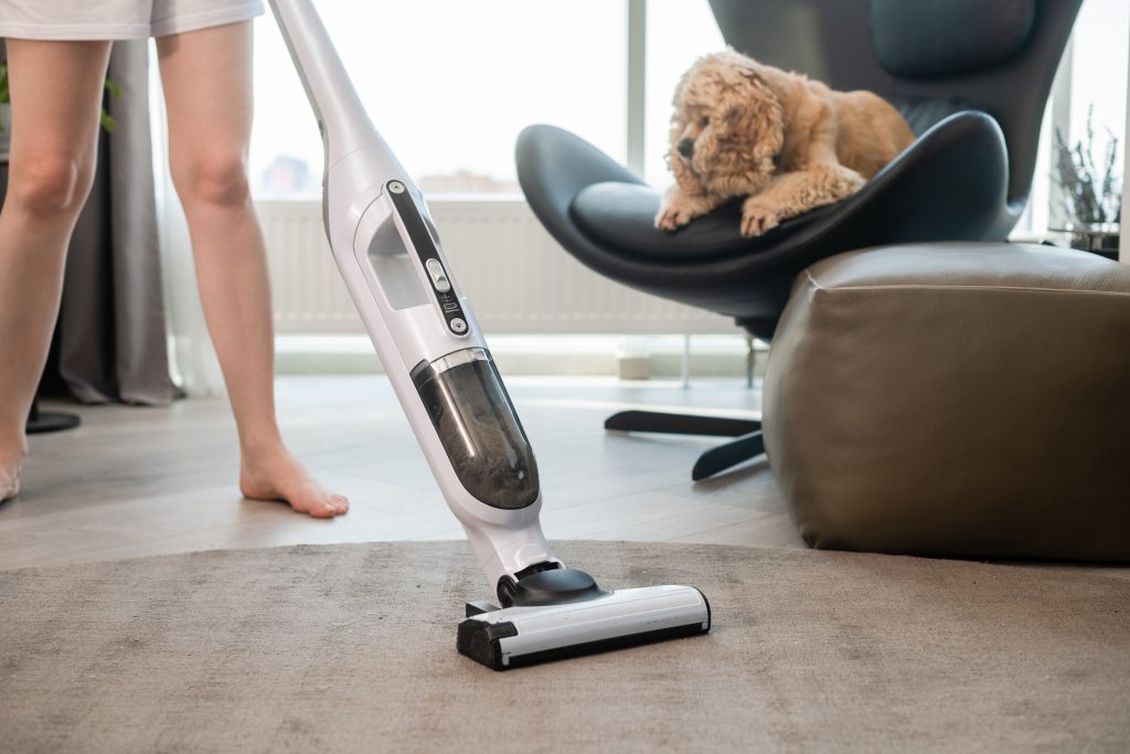 Remove pet odors house